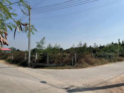 ที่ดิน 2500000 สมุทรปราการ กิ่งอำเภอบางเสาธง ศีรษะจรเข้น้อย